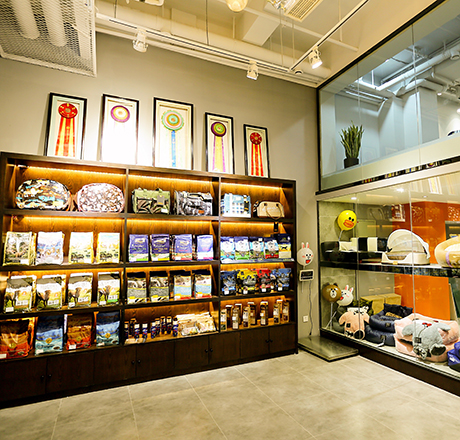 武漢萬達漢街形象店